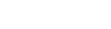 Georgian Railway's logo